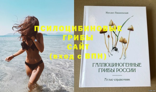 МДПВ Белокуриха