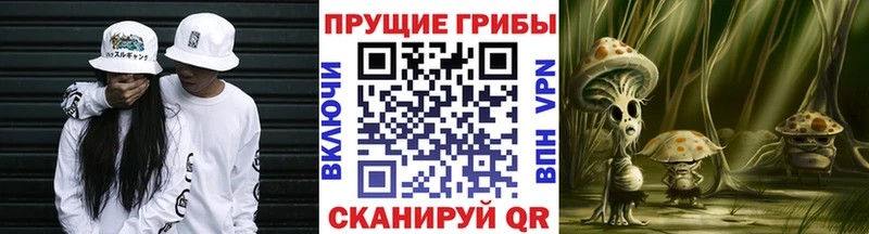 где продают наркотики  Бугульма  блэк спрут   Псилоцибиновые грибы мухоморы 